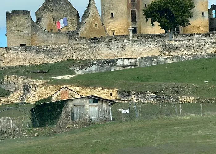 בית נופש La Colline Maison 15 - 6 Pers Calviac-en-Perigord